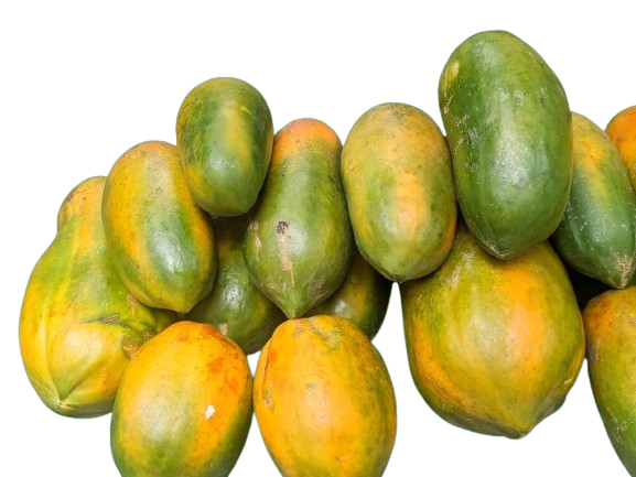 Papaya (Pepe)